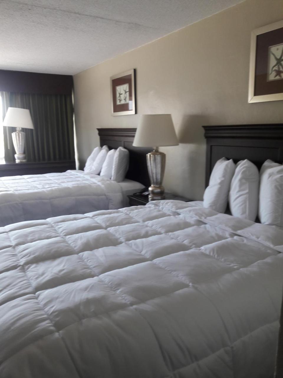 Ocean Waves Hotel Μιρτλ Μπιτς Εξωτερικό φωτογραφία